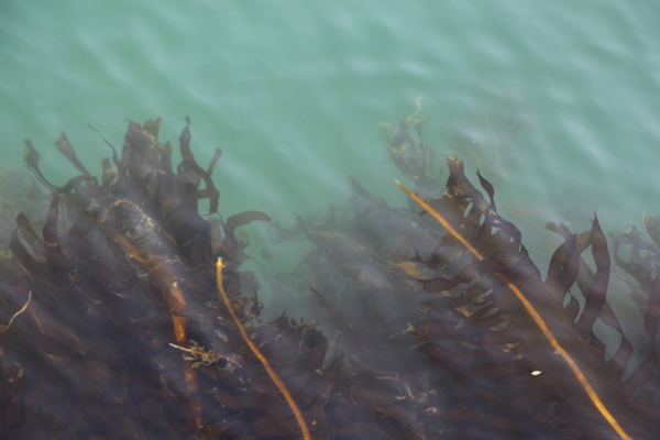 ���ء���ͻ����Υ參��/�����Ƥ������ǡ����١���