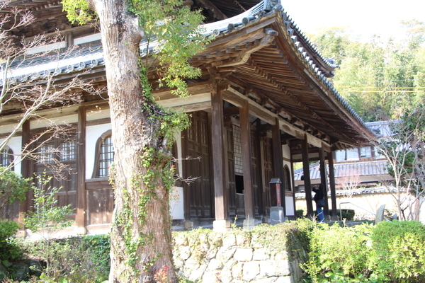 Ĺ�ܤγб������Ʋ��/�����Ƥ������ǡ����١���