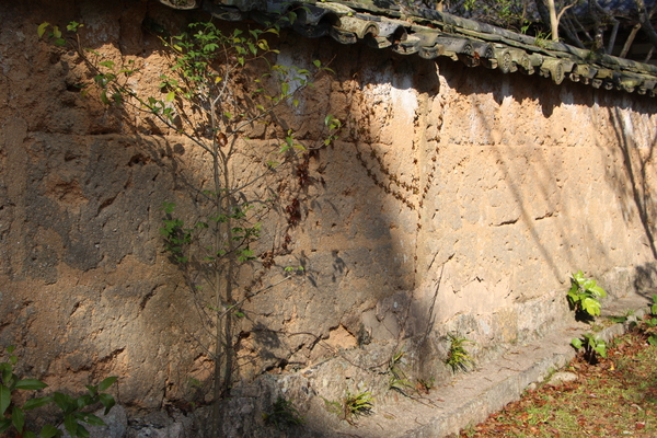 Ĺ�ܤγб���ָŤ���ʽ��/�����Ƥ������ǡ����١���