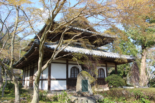 Ĺ�ܤγб������Ʋ��/�����Ƥ������ǡ����١���