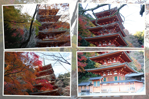 ����Ĺë���ָ޽����/�����Ƥ������ǡ����١���