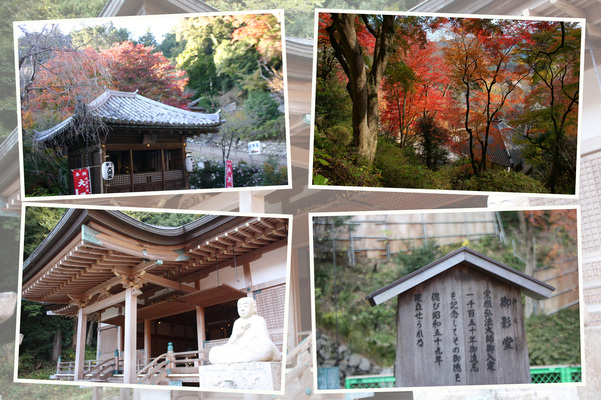 ����Ĺë���ָ��Ʋ������Ʋ���̷��¡�/�����Ƥ������ǡ����١���