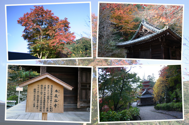 �������ɡ�Ĺë������Ĺë���ȼ��ա�/�����Ƥ������ǡ����١���