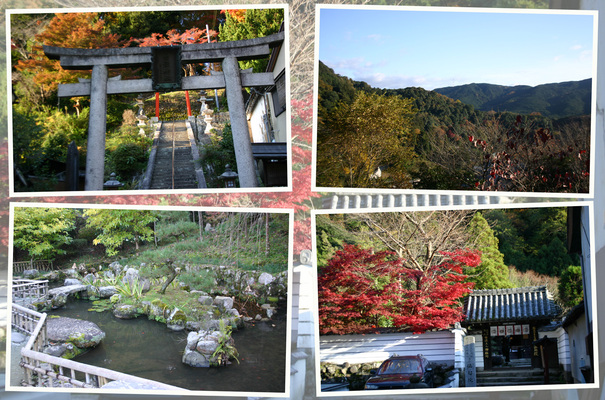 ����Ĺë����ˡ���������㱡����ɦ���ҡ�/�����Ƥ������ǡ����١���