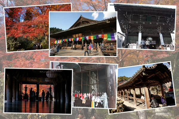 ����Ĺë���� �β��硦��ϭ�Ȳ�ϭ ����Ʋ�������/�����Ƥ������ǡ����١���