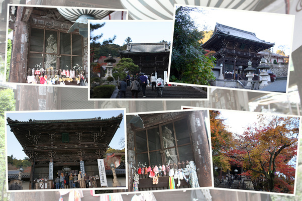 ����Ĺë���ֿβ���ȼ��ա�/�����Ƥ������ǡ����١���