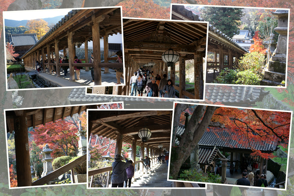 ����Ĺë������ϭ�ȼ��ա�/�����Ƥ������ǡ����١���