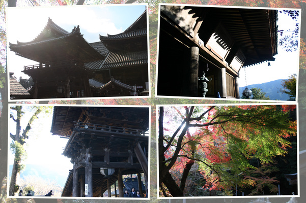 ����Ĺë���־�ϰ�ȼ��ա�/�����Ƥ������ǡ����١���