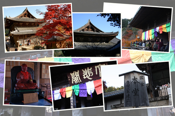 ����Ĺë������Ʋ�ȼ��ա�/�����Ƥ������ǡ����١���