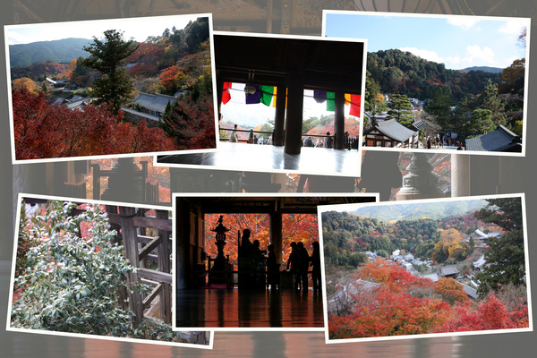 ����Ĺë������Ʋ�����į˾��/�����Ƥ������ǡ����١���