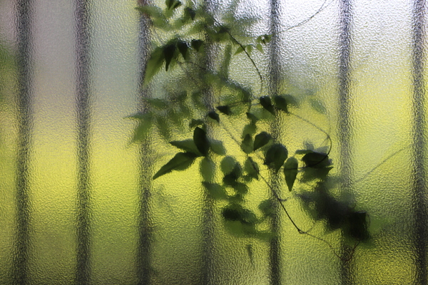 ʡ���ַ��ĥ��饹����ɤ�����ա�/�����Ƥ������ǡ����١���