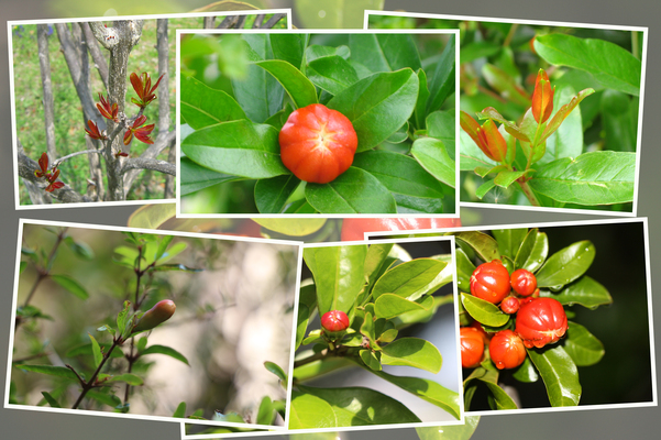 �����������ءˡֲꡦ���դ���鲤ء�/�����Ƥ������ǡ����١���