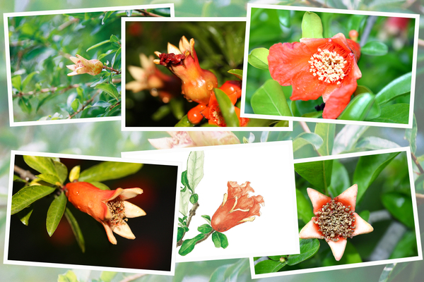 �����������ءˡֲ֤���¤ء�/�����Ƥ������ǡ����١���