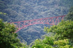 北向山原生林の渓谷に架かる赤い鉄橋