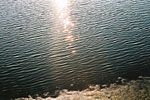 朝陽を反射する水面