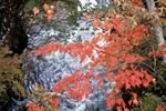 湯滝の紅葉