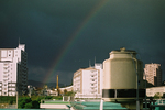 病院の窓から見た虹