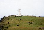 東崎展望台の灯台と放牧風景