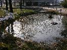 冬の情景を映す池