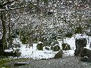 光明禅寺の裏庭に積もる雪