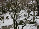 光明禅寺の雪景色