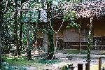 日本庭園内の茶室