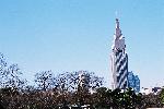 新宿御苑から見えるドコモタワー