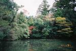 紅葉が混じる緑の森と池