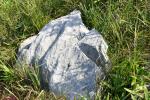 カルスト台地で横たう灰白色の石灰岩