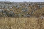 カルスト台地の石灰岩とドリーネ