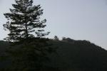 錦帯橋から小さく見える岩国城