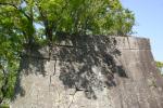 石垣に映る樹木の影