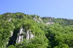 森の緑で覆われた渓谷の岩壁