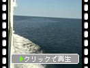 利尻島への船旅景色