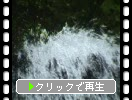 井原山中腹のアンの滝