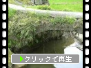 熊本の石橋群、舞鹿野田橋と小川の魚