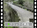 熊本の古い石橋群、春の小筵橋