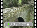 熊本の古い石橋群、苔の馬門橋