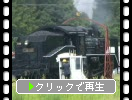 白い煙を吐く蒸気機関車