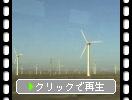 荒野の風力発電