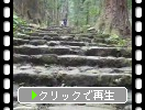 熊野古道、大門坂の石段