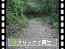 熊野古道を歩いて