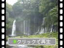 秋の富士山麓「白糸の滝」