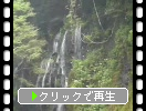 秋の富士山麓「白糸の滝と渓流
