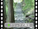 箱根旧街道の石畳と杉並木