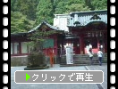 箱根神社の拝殿と境内