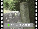 小田原城の門