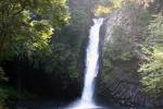 伊豆の「浄蓮の滝」