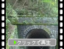 下田街道の旧天城トンネル