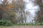 秋の雑木林から沸き立つ温泉の湯煙